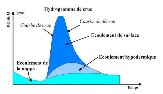 Gr 3h Hysto